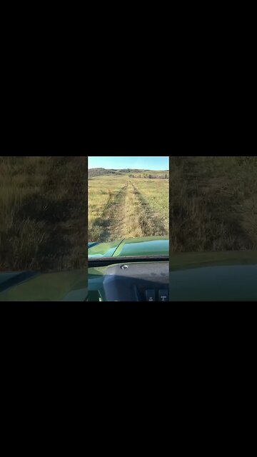 Driving out to check game cams. #shorts