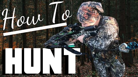 The Buzz on "Deer Hunting 101: Everything You Need to Know Before You Go"