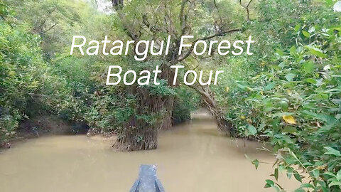 Lets Enjoy Ratargul Forest Beauty