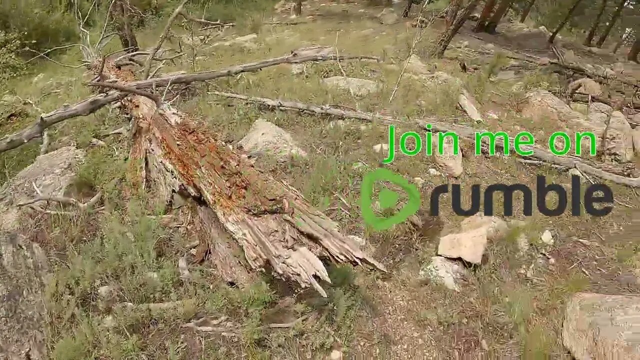 Rocky hill with a bunch of squids ruining the environment!
