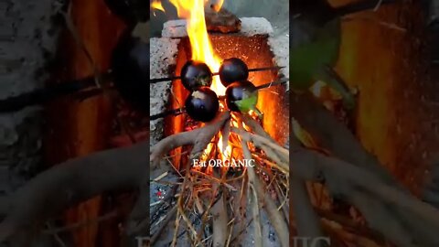 Brinjal in Kitchen Garden