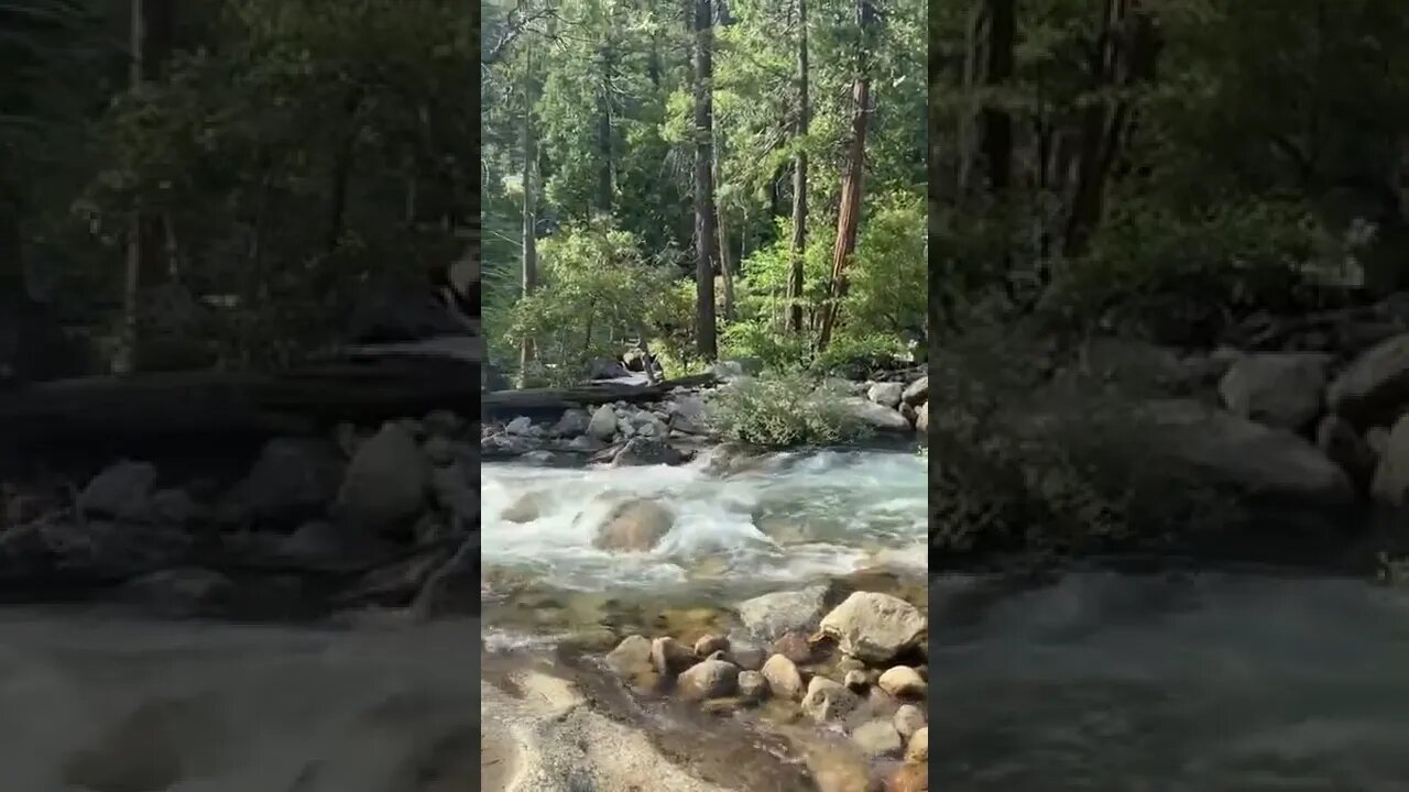 nature#naturevibes#naturelove#waterfall#shorts