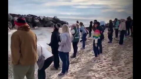 Soy bitches scream at Lake Michigan over Trump Victory.