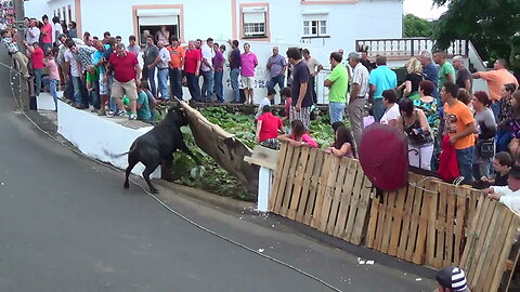 Touradas 2014 Clip 4 - Diversas Localidades Ilha Terceira - Açores - Portugal