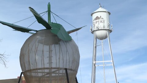 Rupert celebrating fourth annual 'New Years Beet Drop'