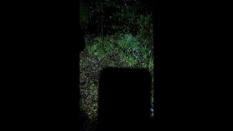hunting in Louisiana