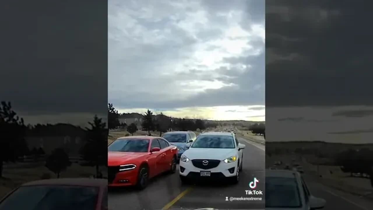 Lady got a ticket for this stunt!