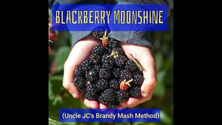 Blackberry Moonshine