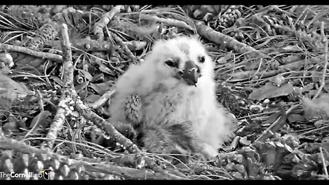 Mom's PM Leave & Return-Cam One 🦉 3/2/22 18:31