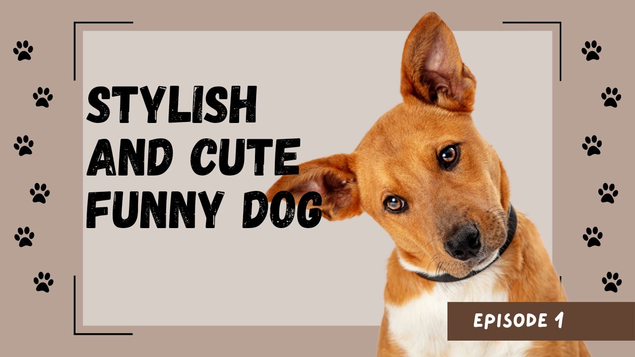 Pawsitively Hilarious: The Best Dog Fails and Funny Moments Caught on Camera"