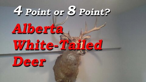 In Alberta this WAS what we used to call a 4 Pointer. Weird Eh?