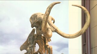Milwaukee Co. approves $45M for Milwaukee Public Museum