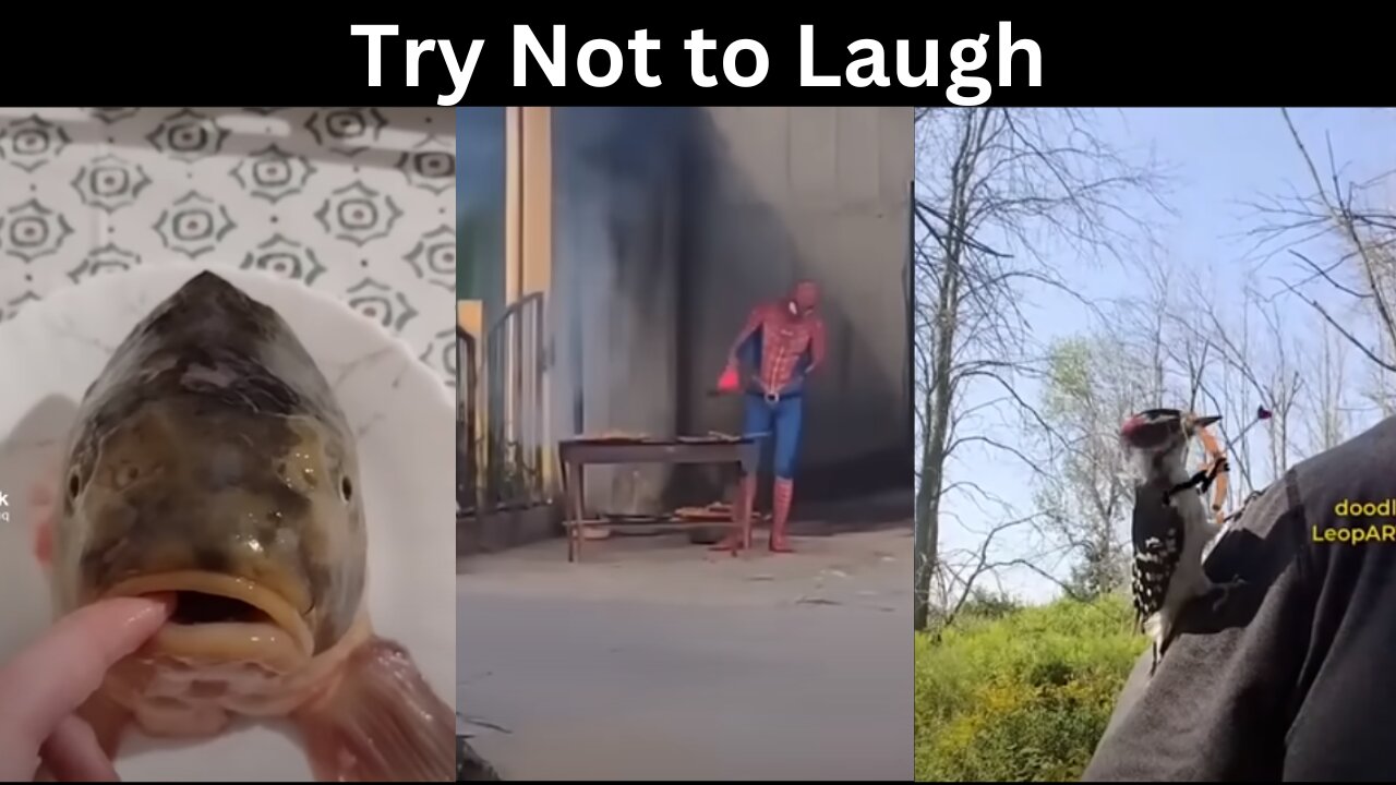 If You Laugh You Lose ~ Try Not To Laugh Challenge (Impossible) 🥵