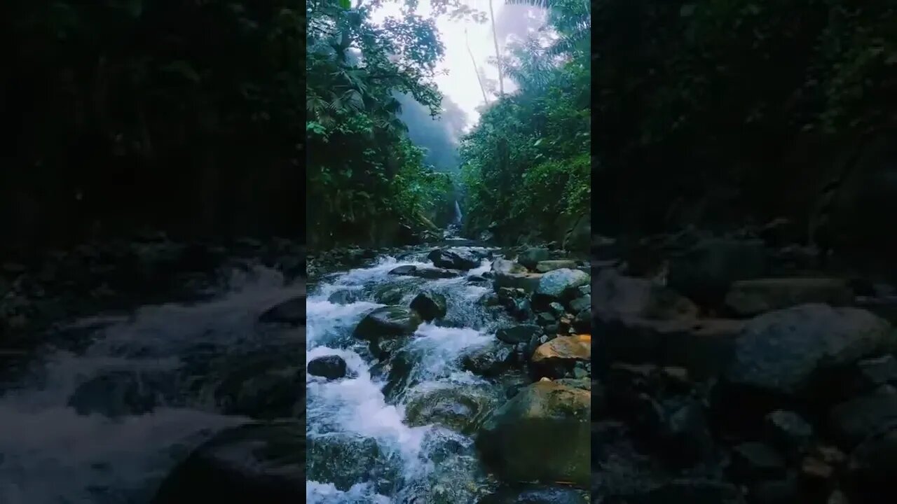 rivers#waterfall#nature#shorts