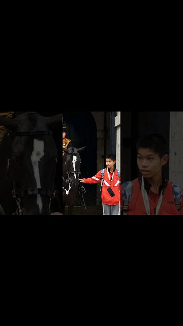 Boy touches the reins. don't touch the reins #horseguardsparade