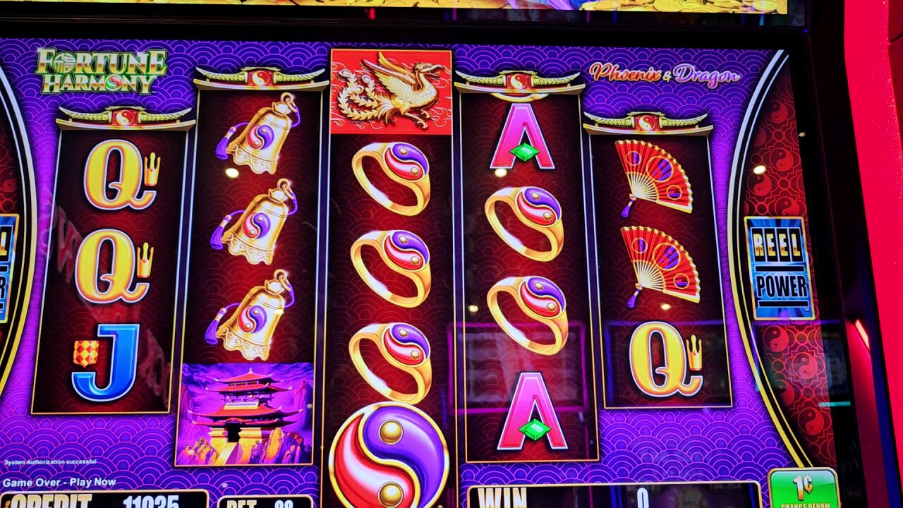 Come on Dragon Bonus!
