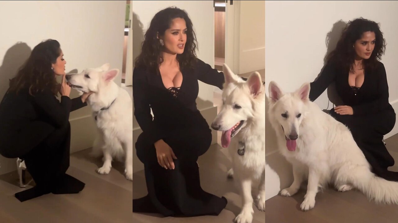 Salma Hayek's Adorable Photoshoot with her Dog Goes Viral | Cutest Moments Ever!"