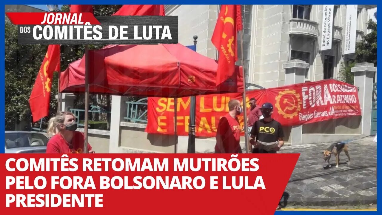 Comitês retomam mutirões pelo Fora Bolsonaro e Lula Presidente -Jornal dos Comitês de Luta- 17/02/21