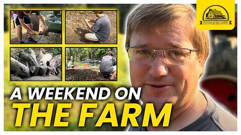 An Actual Weekend on the Farm: Catching Pig and Fixing Tractor