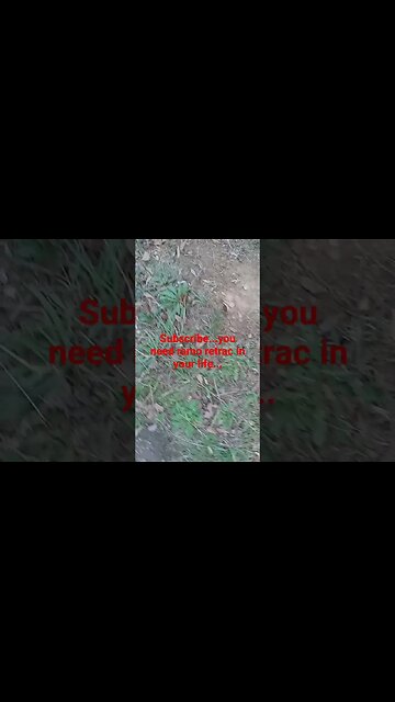 Busta rhymes talking about the streets