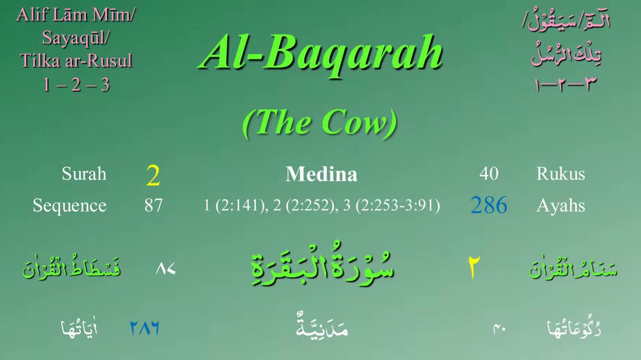 Surah Al Baqara with Tajweed by Mishary Al Afasy