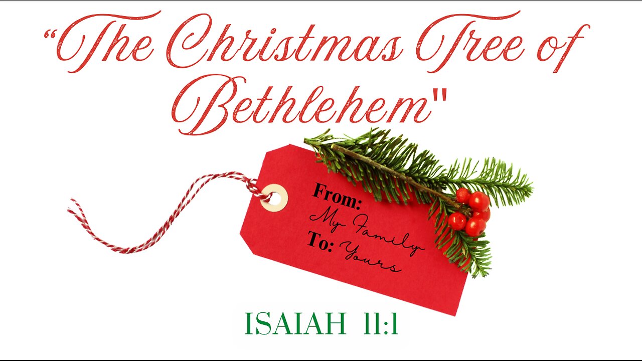 241208 Pastor Scott Craig "The Christmas Tree of Bethlehem"