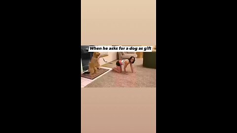 Funny dog and girl