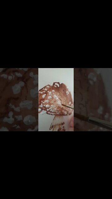 #shorts Panther Mushroom #shroom #mushroom #artistshorts #art