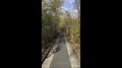 Beautiful Scenery in Richmond BC Canada