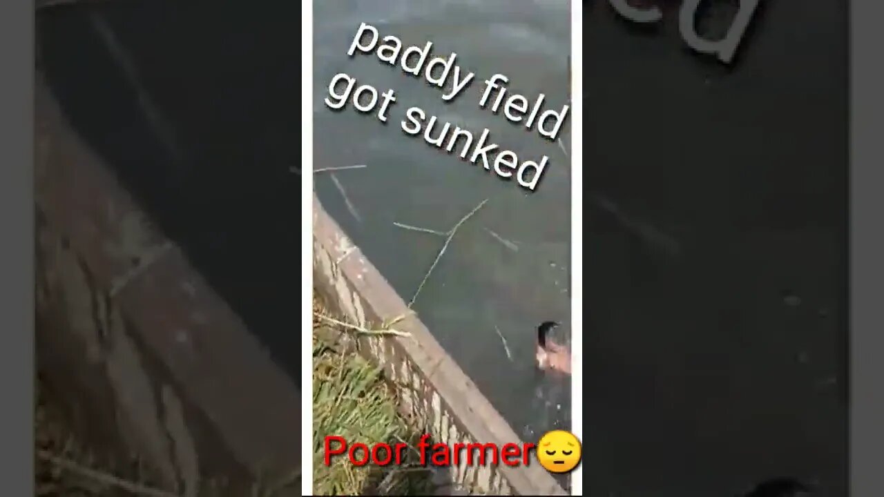 Respect
