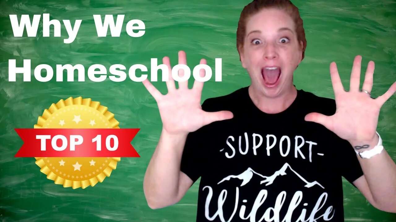 Why We Homeschool Top 10 Reasons