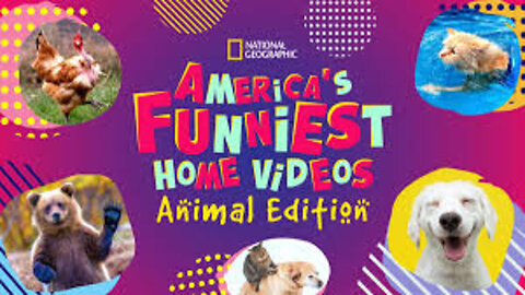 Try Not To Laugh Funniest Home Videos