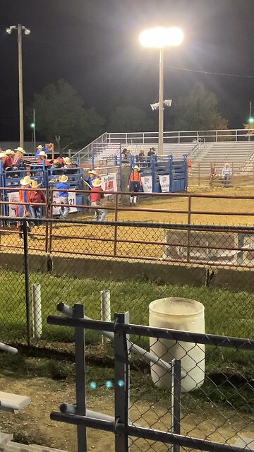 Bull Riding at Rodeo
