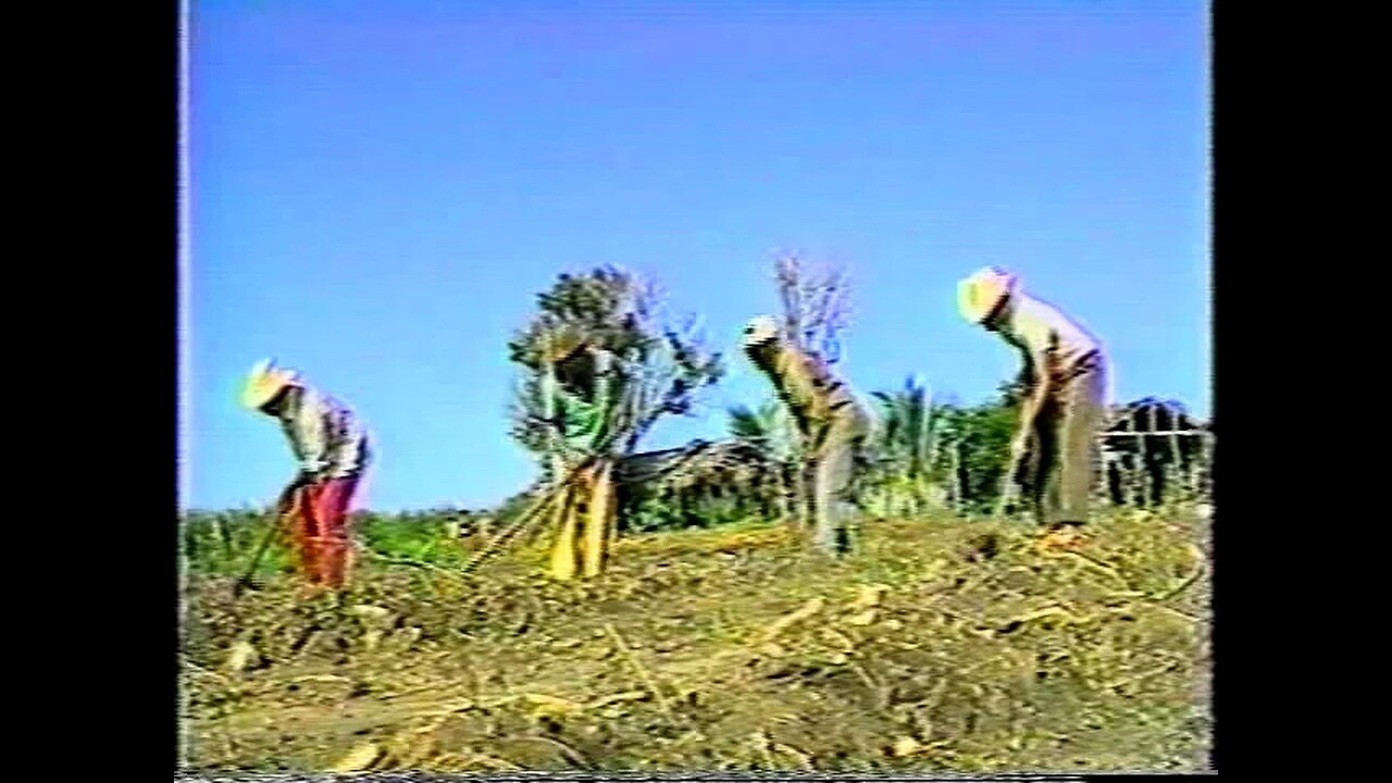 Ron Barceló - Somos un Pueblo que Canta - Cómo te Va Chicho Pin