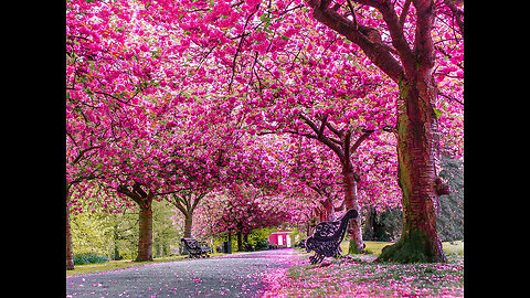 Spring Garden Views in London, Hill Garden and Pergola Short Version [4K]