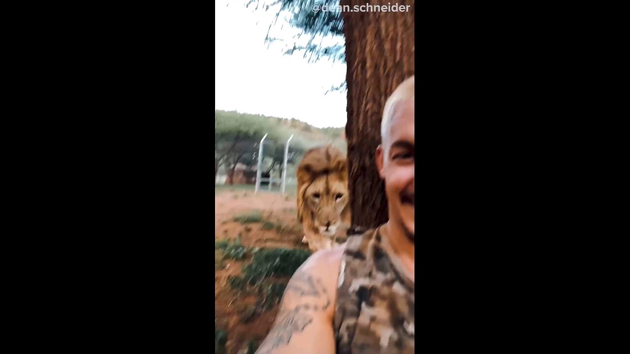 LION ATTACK//🦁