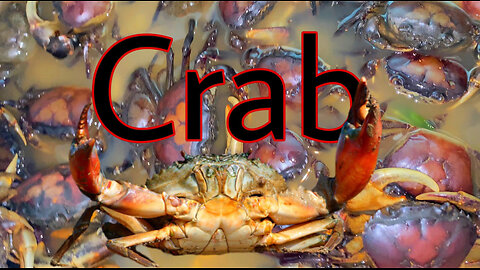 Crab