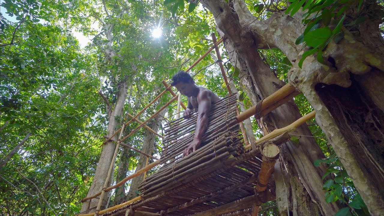 How To Build the Most Beautiful Tree House in the Jungle by Ancient Skills