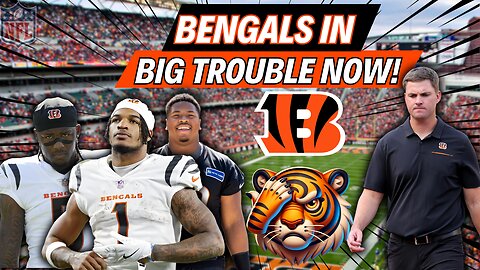 🏈 UNBELIEVABLE: BENGALS’ TOP PLAYERS IN LIMBO BEFORE PATRIOTS MATCHUP! WHO DEY NATION NEWS