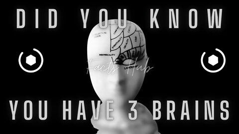 Amazing Brain Facts - The Most Unique Facts You'll Ever Learn || Facts Hub