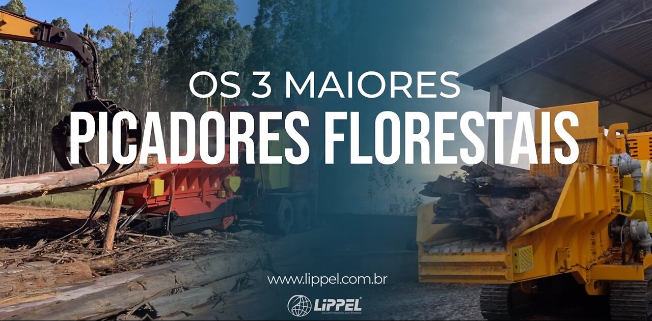 Os 3 maiores Picadores Florestais Lippel