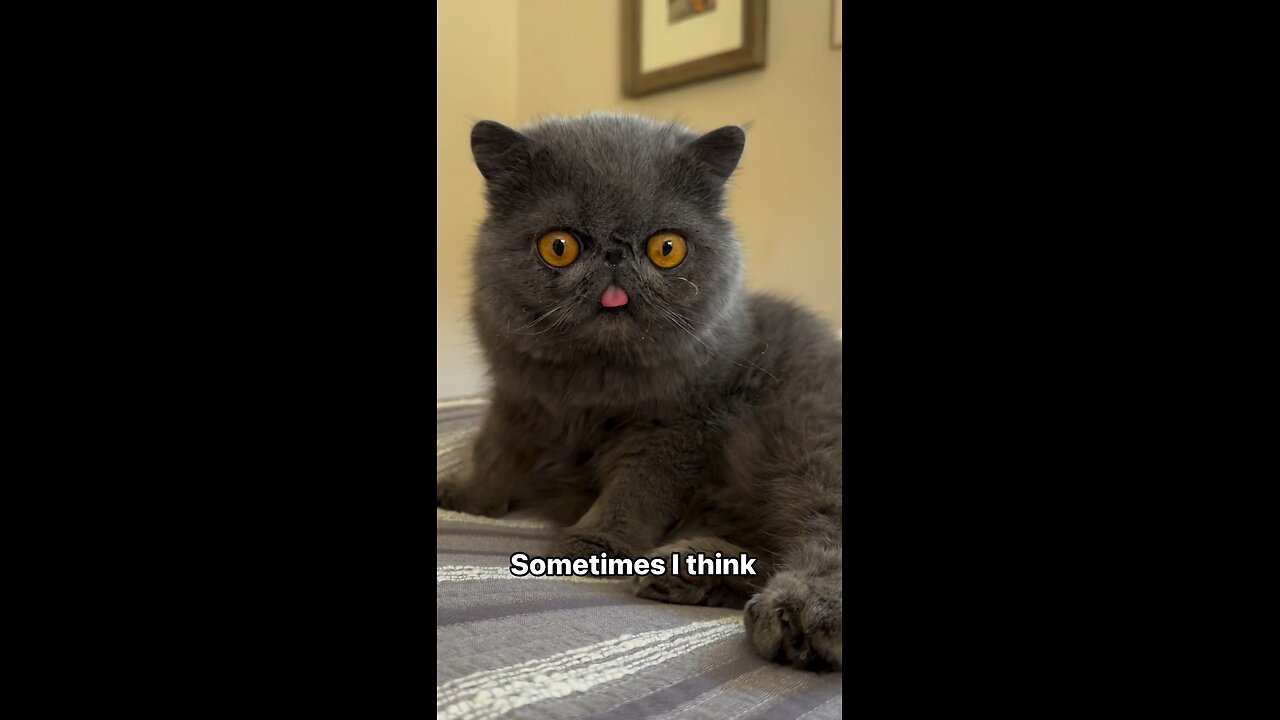 Funny