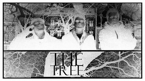 The Tree: Three Trees in Third Trinity Trembling | #FlashbackFriday 05