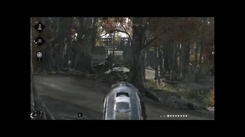 Hunt: Showdown Pt.38