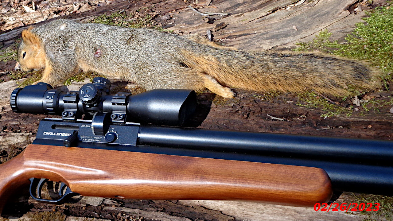 Squirrel Hunting with my AEA .22 Challenger