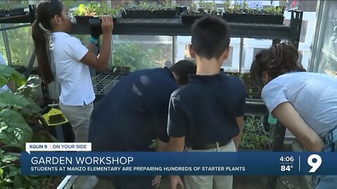 Manzo Elementary School's garden and ecology programs leads the way in TUSD