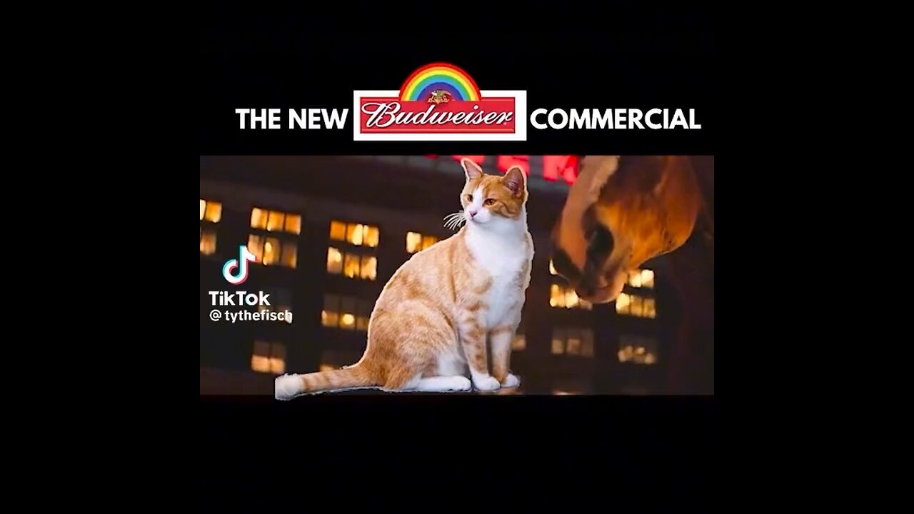 Budweiser’s latest commercial