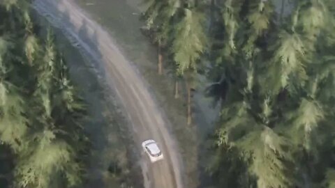 DiRT Rally 2 - RallyHOLiC 11 - Scotland Event - Stage 4 Replay