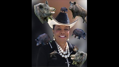 SECRET AGENT MISS SHEILA JACKSON LEE