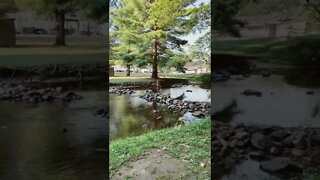 Sitting by creek playing my game